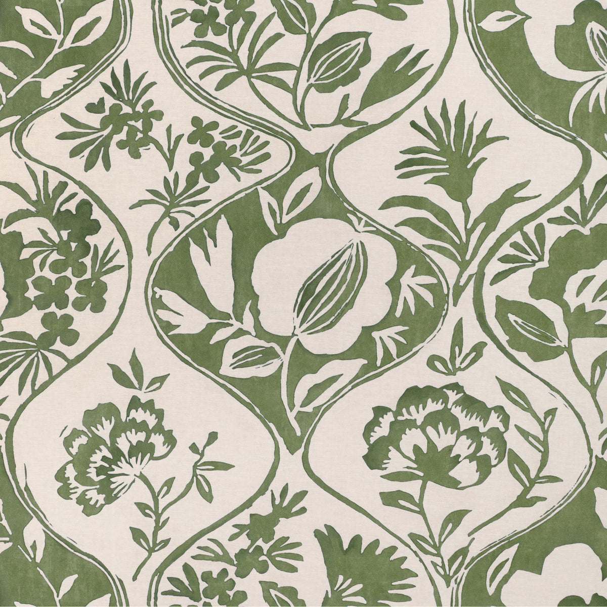 Calathea Print - Leaf