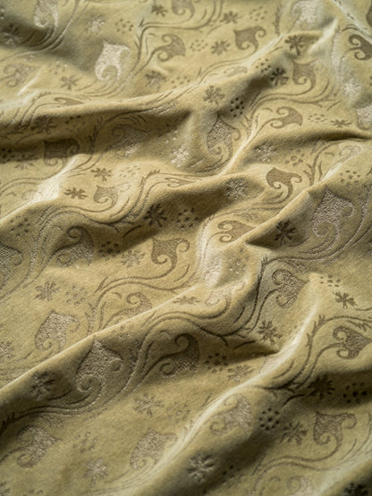 Argo Velvet Fabric