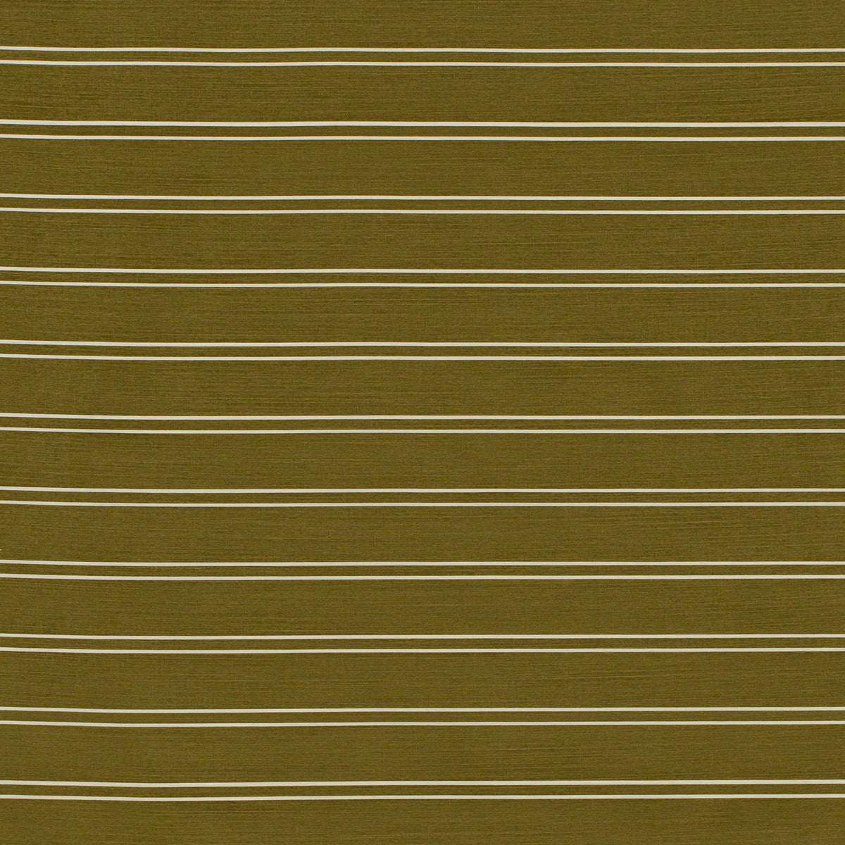 Horizon Stripe - Darkolive