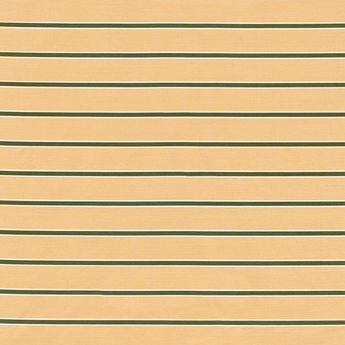 Horizon Stripe - Dkgreenblush