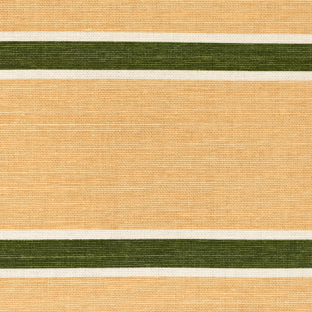 Horizon Stripe - Dkgreenblush