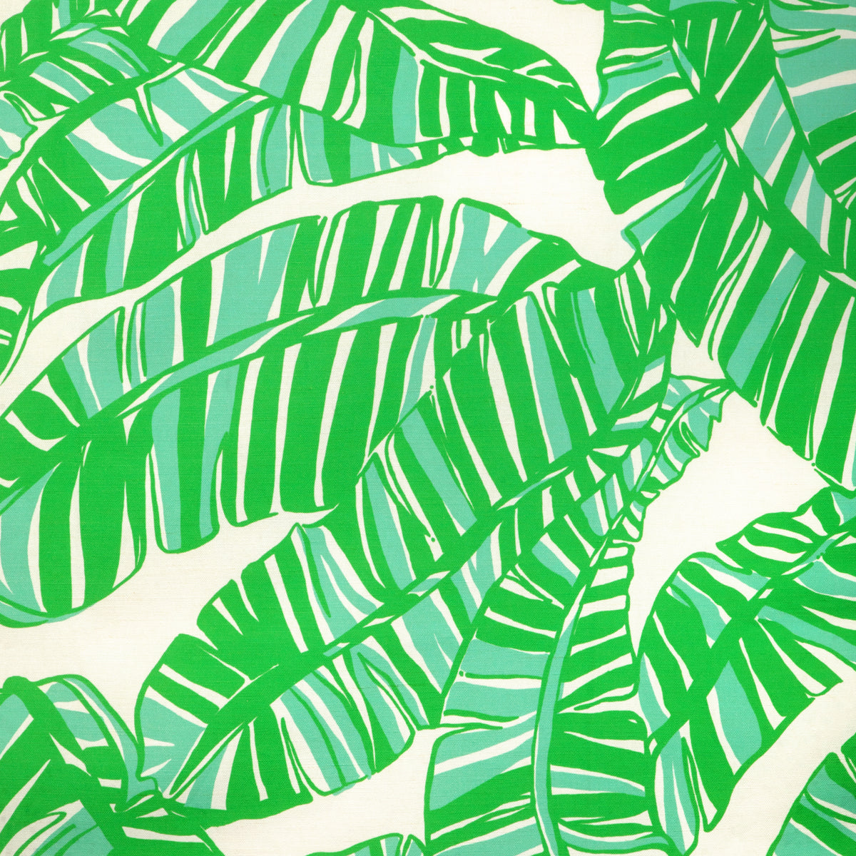 Go Bananas - White/Green
