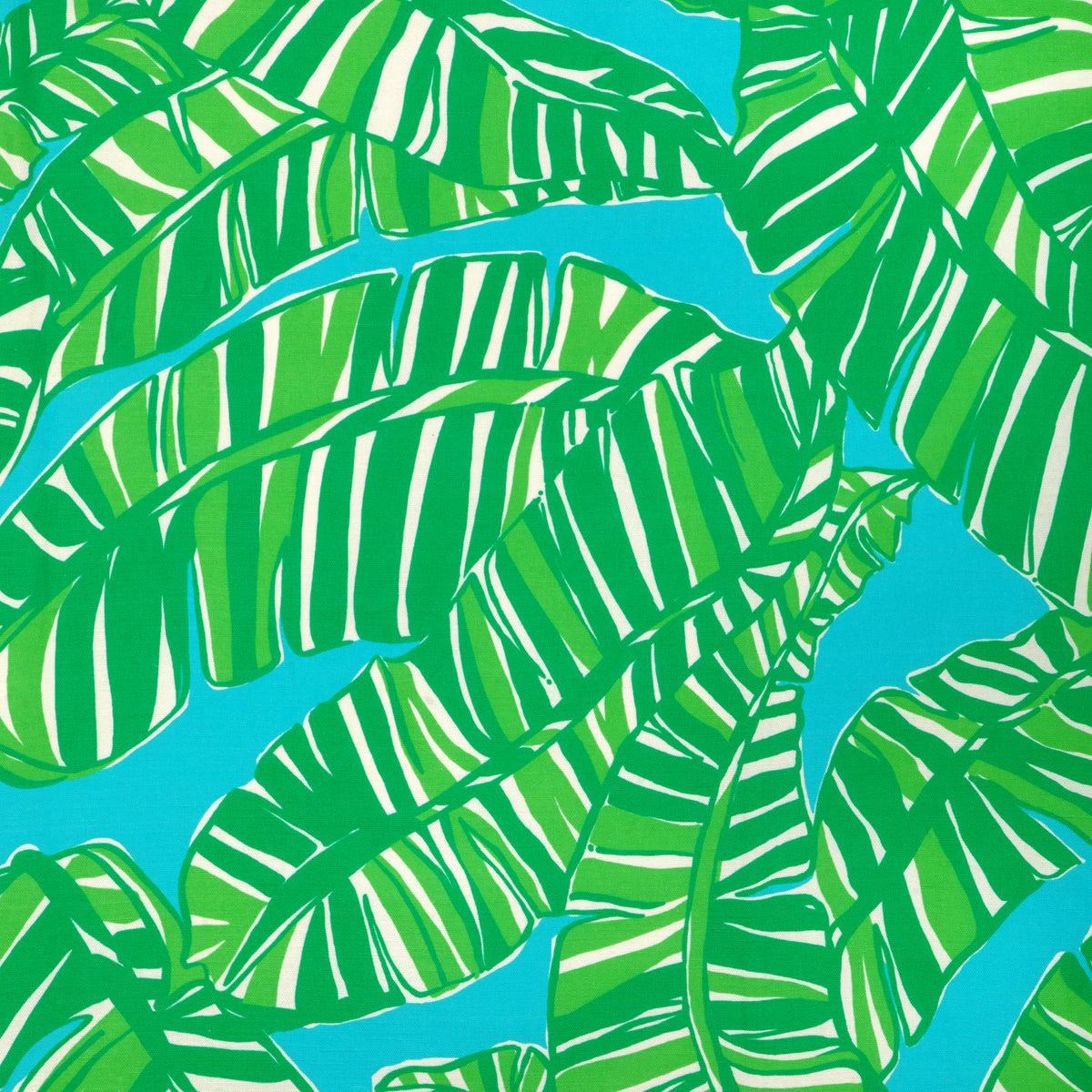 Go Bananas - Sea/Green