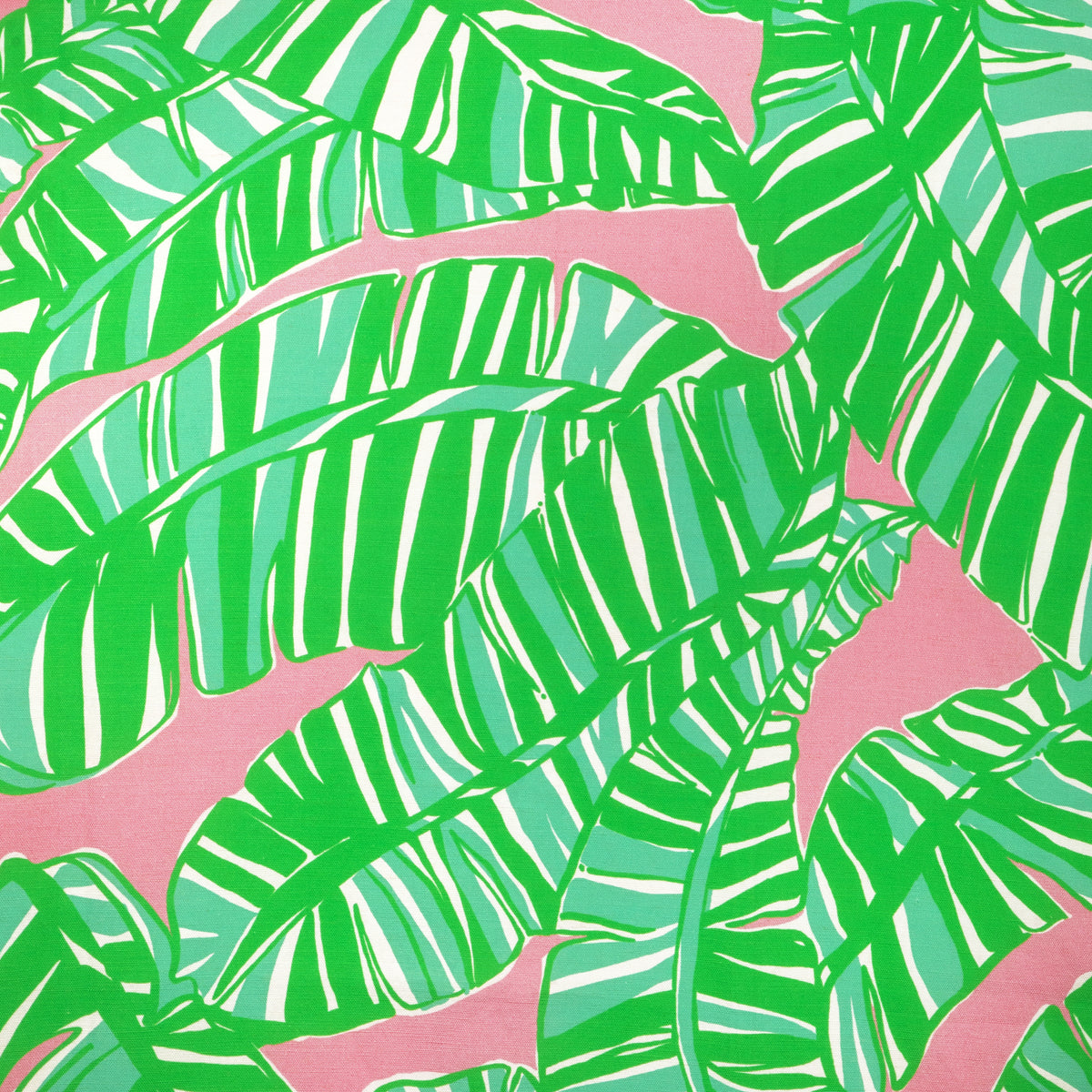 Go Bananas - Pink/Green