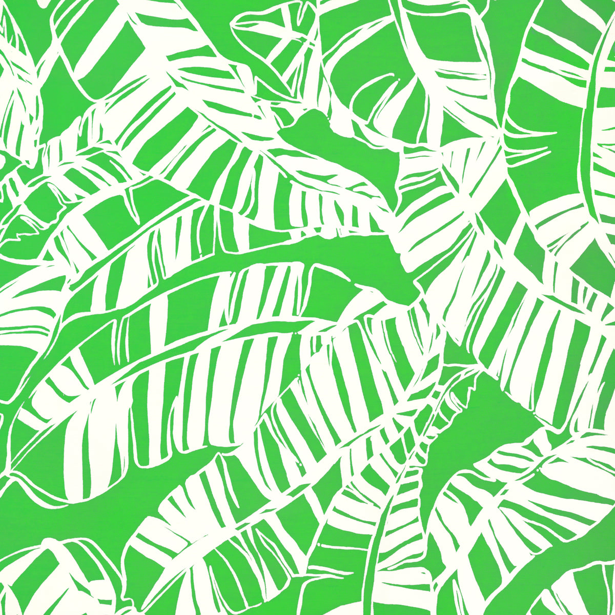 Just Bananas - Green