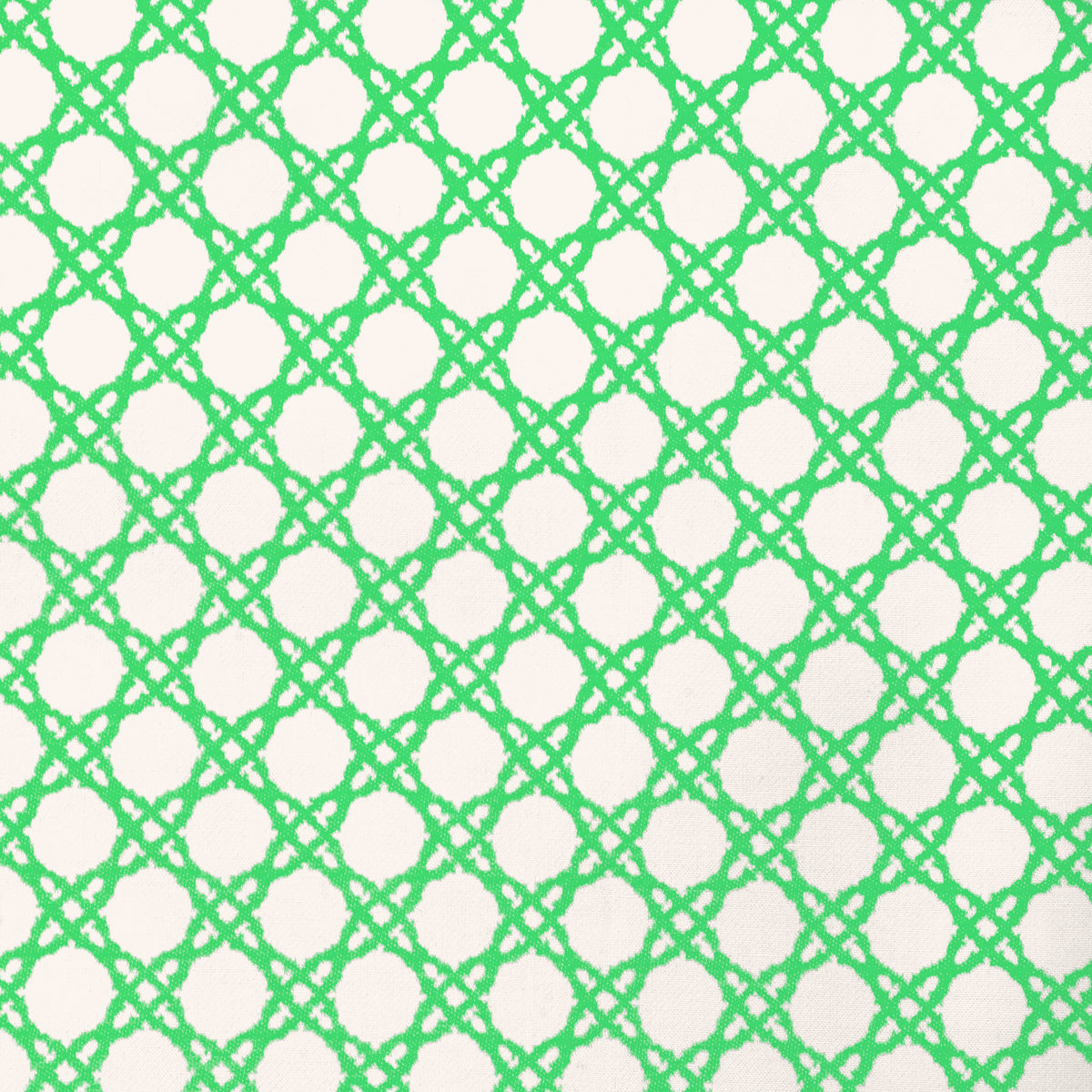 Coastal Cane - Green