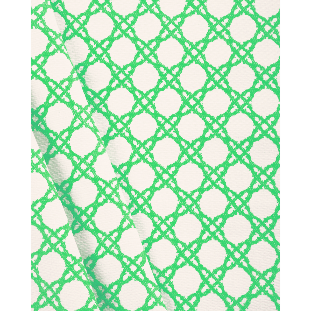Coastal Cane - Green