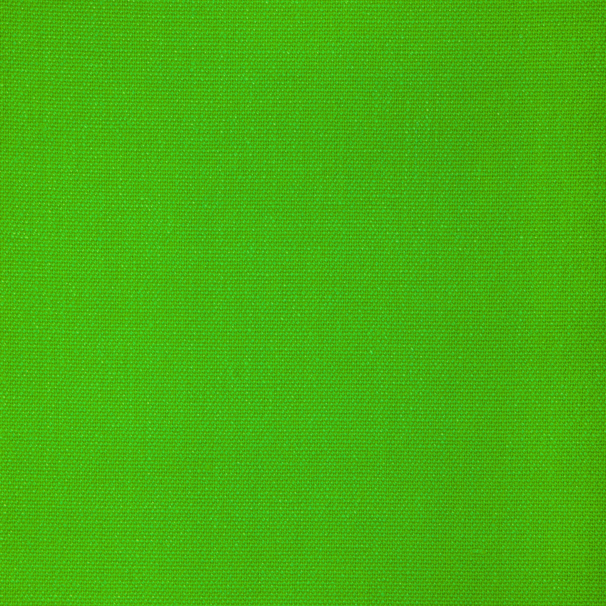 Sarasota Weave - Wild Lime