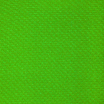 Sarasota Weave - Wild Lime