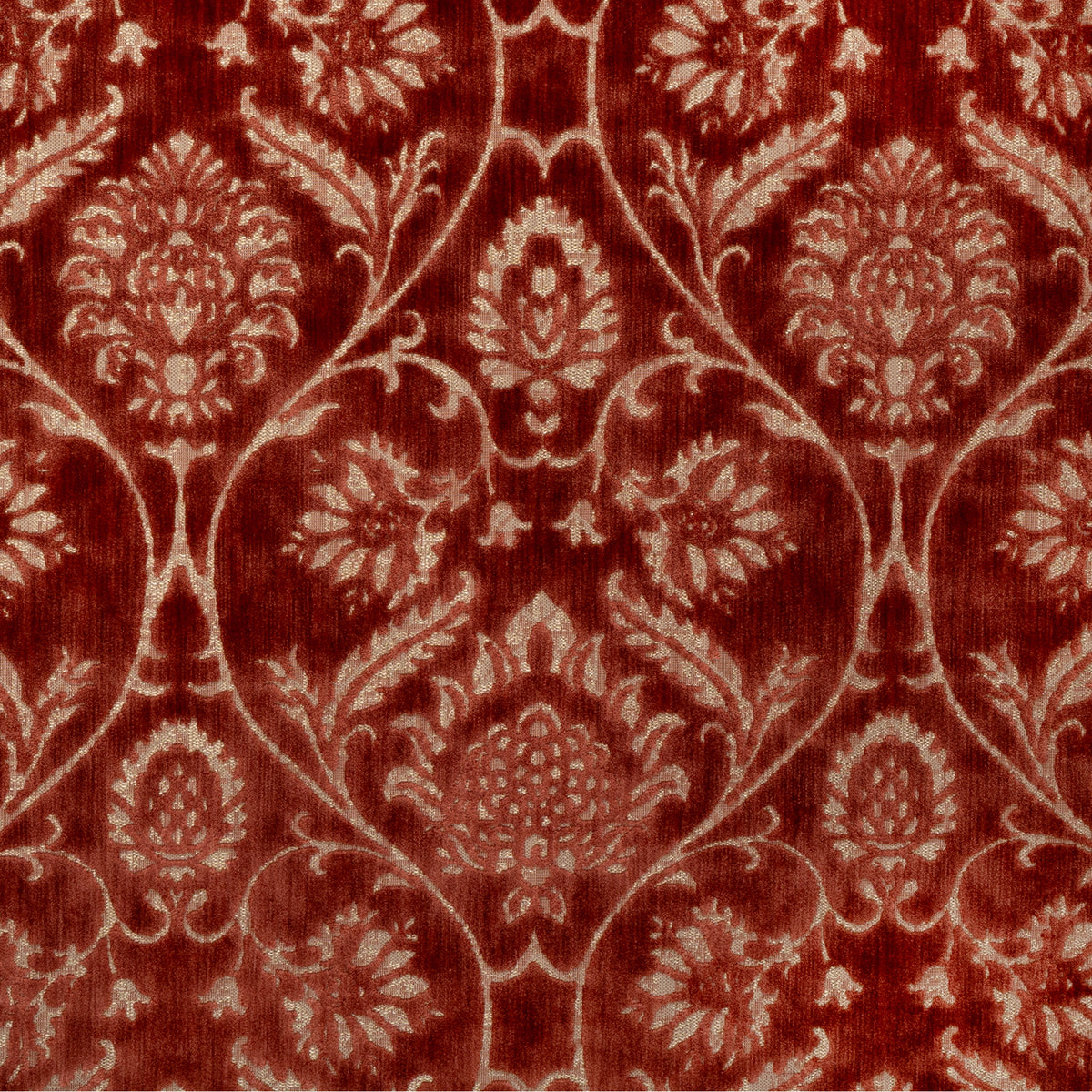 Coventry Velvet - Spice