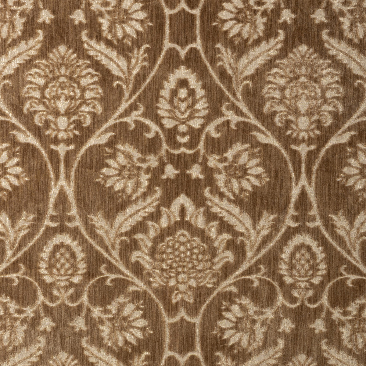 Coventry Velvet - Gold