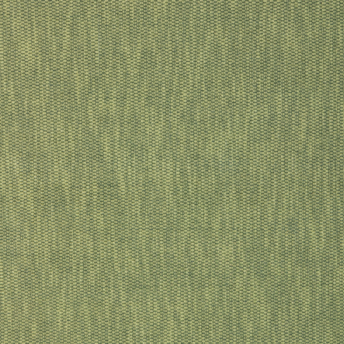 Kirkby Texture - Leaf