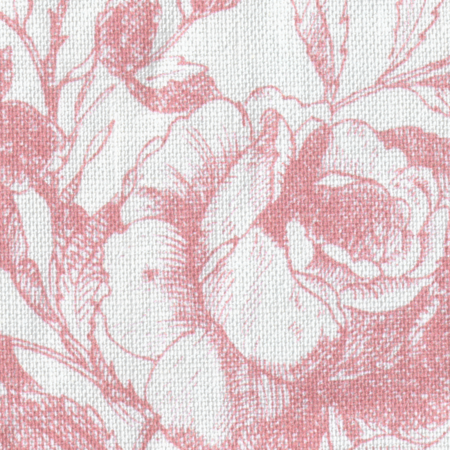 Tea Rose Toile - Rose