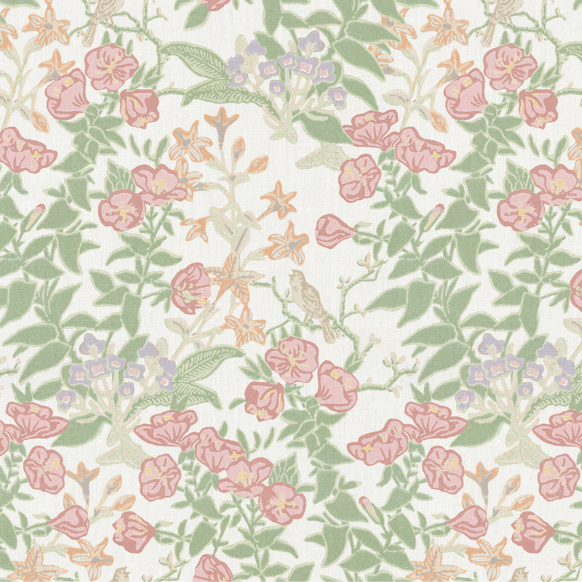 Plumeria Print - Rose