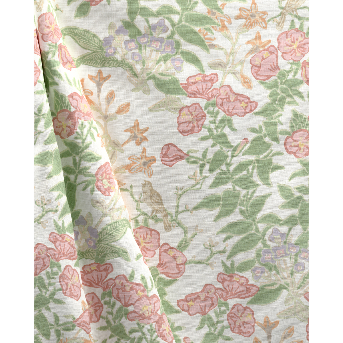 Plumeria Print - Rose