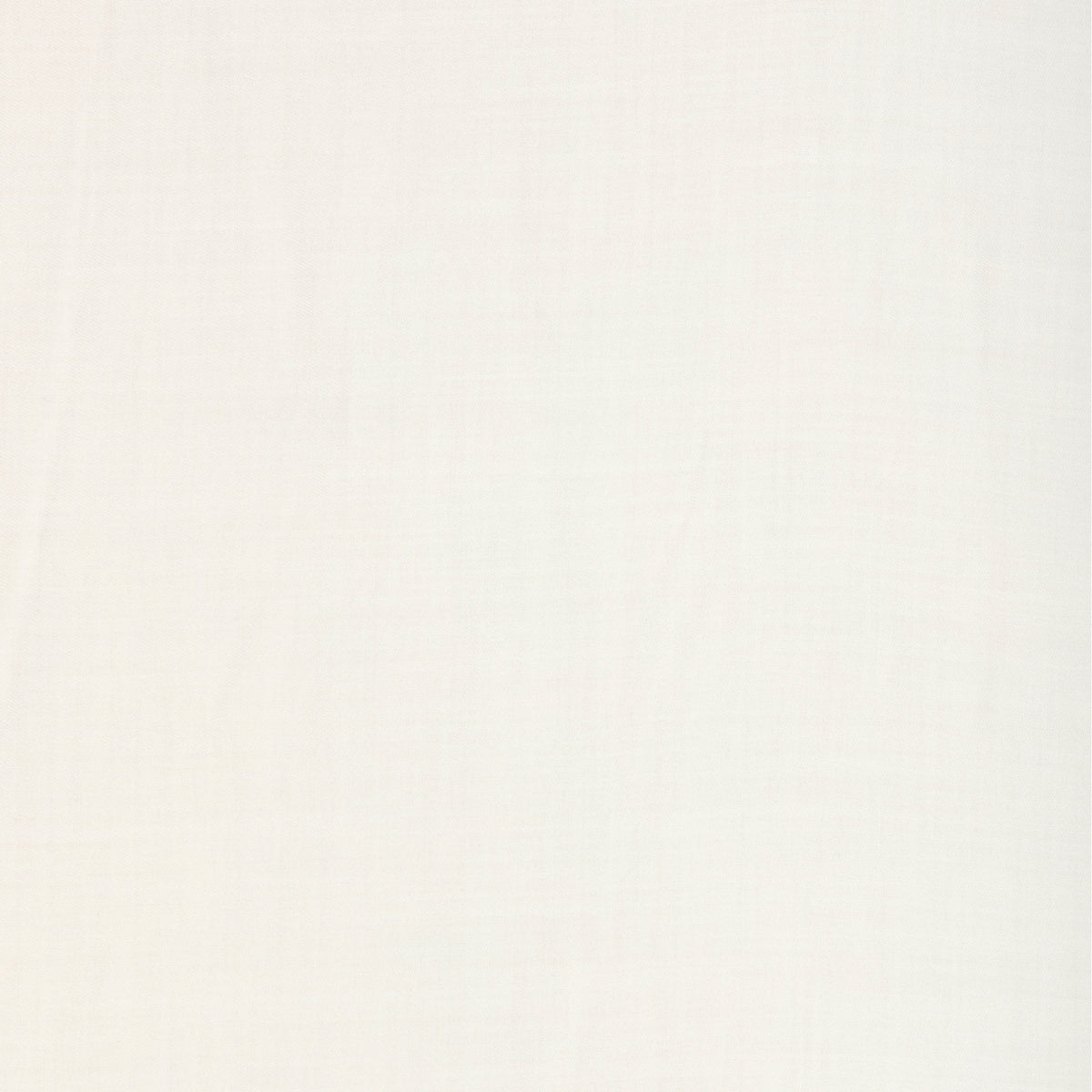 Nimbus Sheer - Ivory