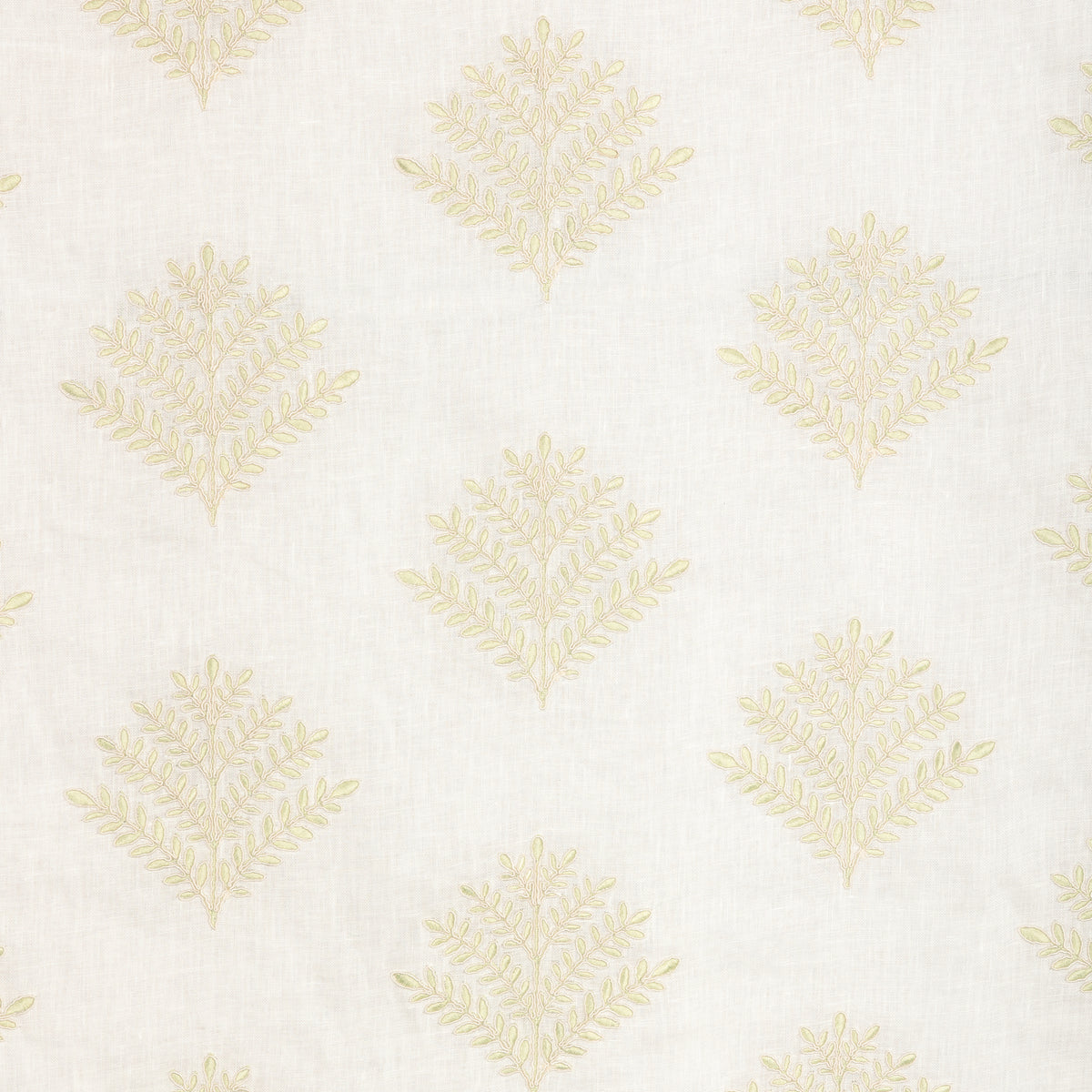Fernly Emb - Sage