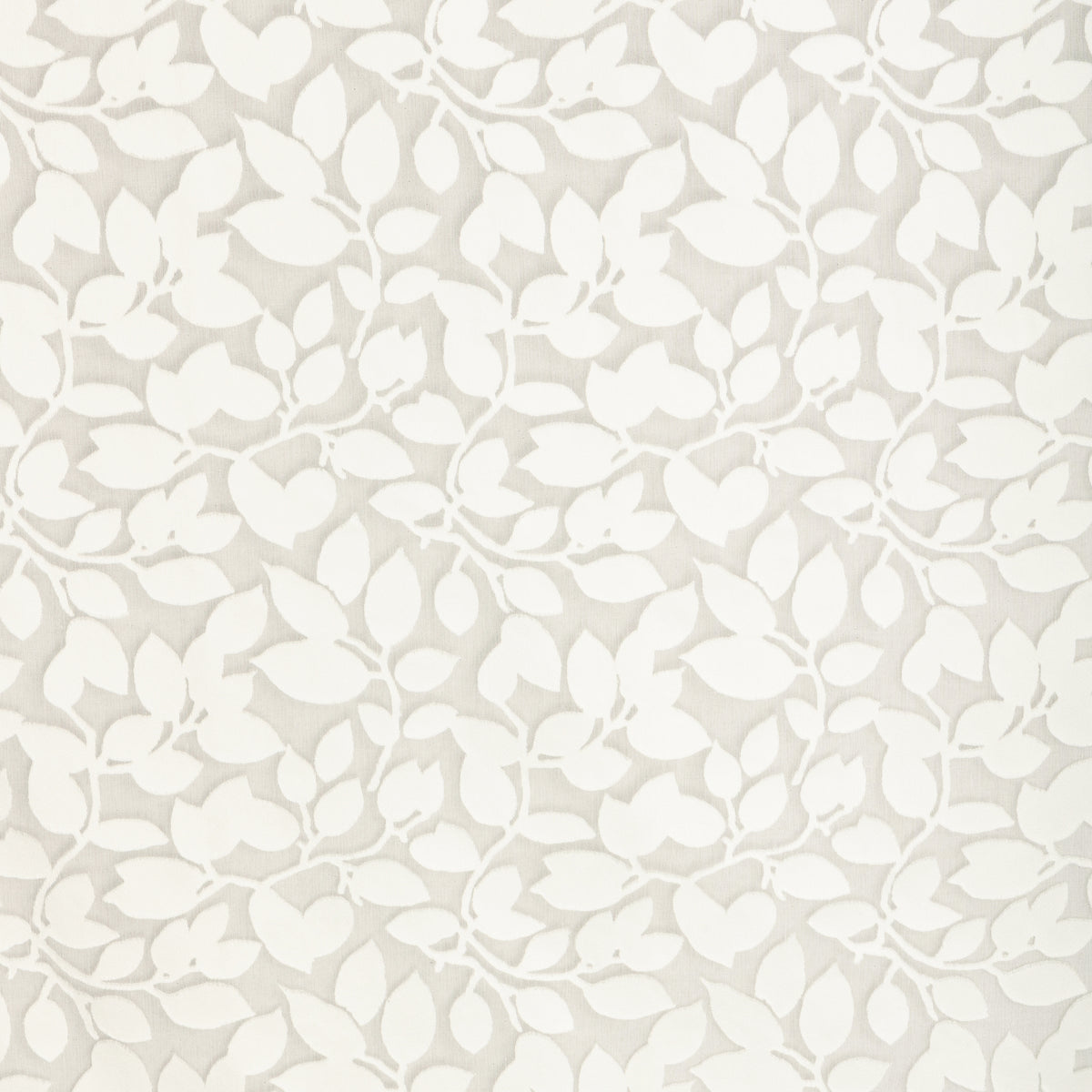 Gracen Sheer - Ivory