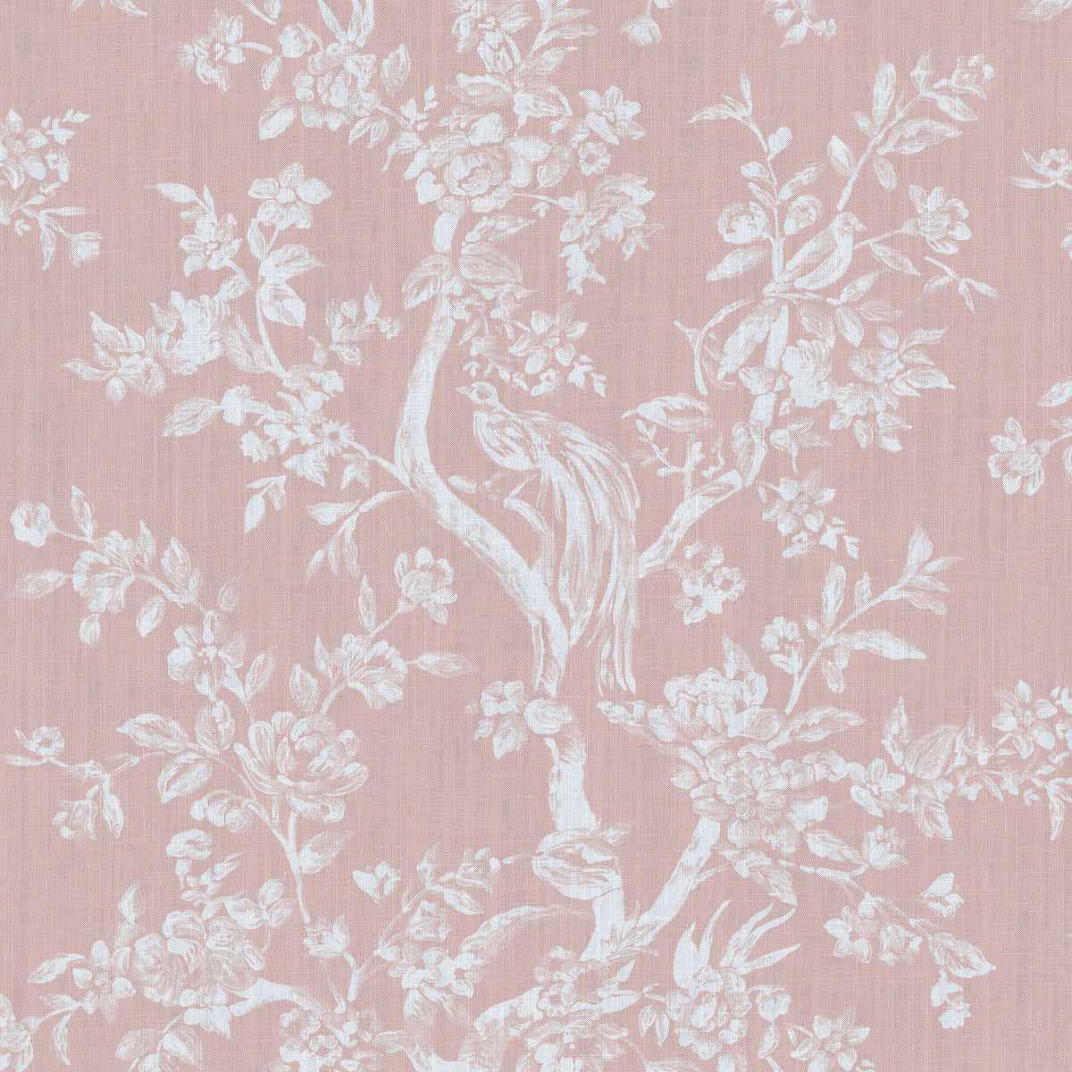 Camellia Toile - Petal