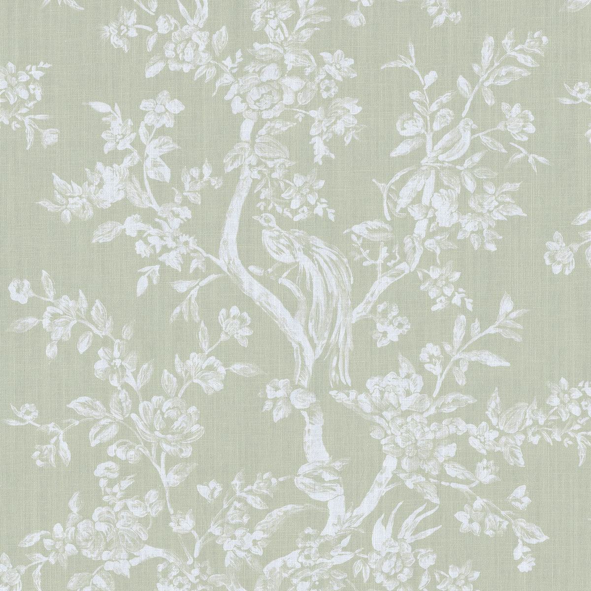 Camellia Toile - Pear