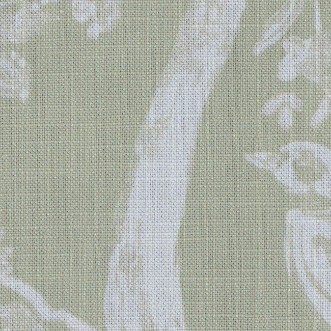 Camellia Toile - Pear