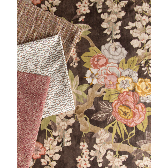 Seedling Print - Spice