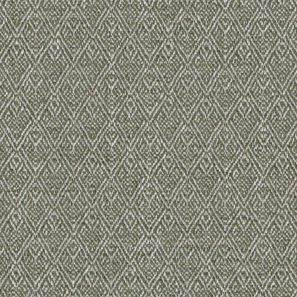 Trellis Weave - Moss