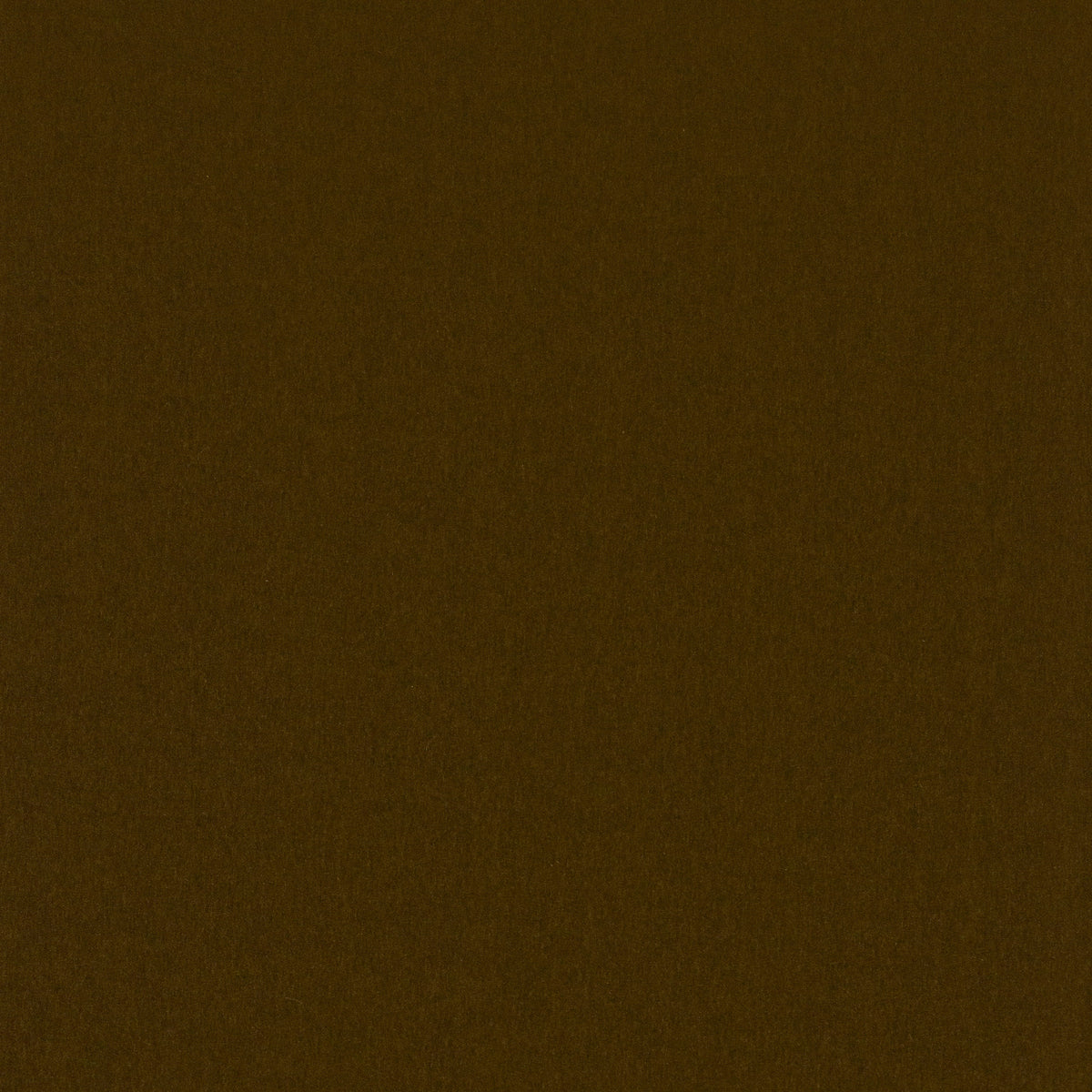 Cavelle Mohair Velvet - Cedar