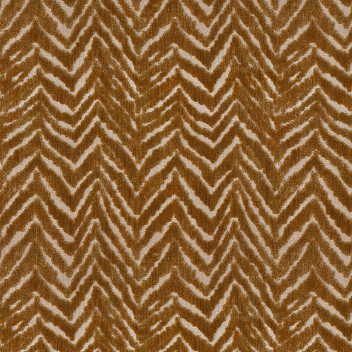 Nairobi Velvet - Gold