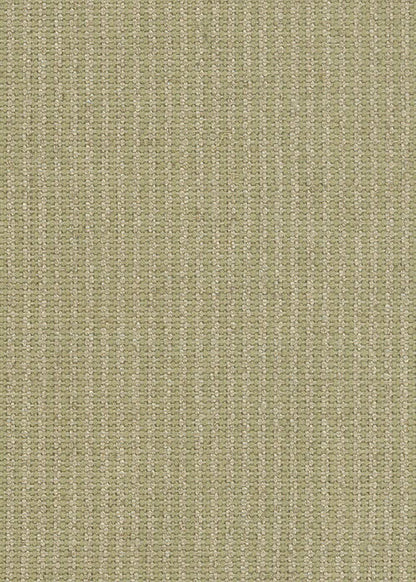 Kilkenny Fabric by Classic Cloth in Lustre
