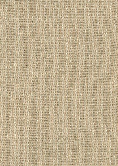 Kilkenny Fabric by Classic Cloth in Melon