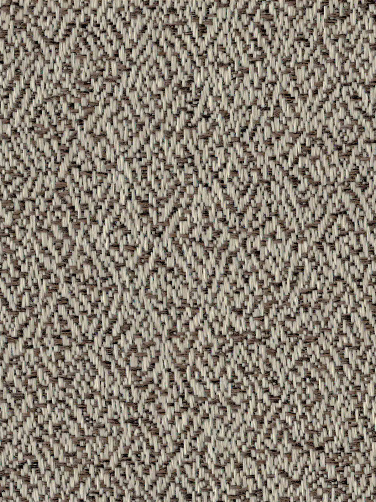 Chunkey Monkey Fabric by Holland & Sherry in Bark