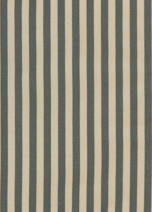 Silk Stripe Fabric by Rose Cumming in Black/Ecru