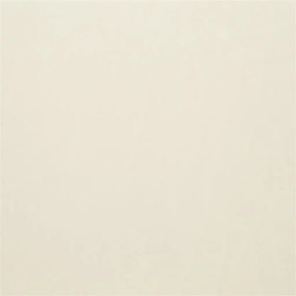 Carron Fabric by Designers Guild in Champagne