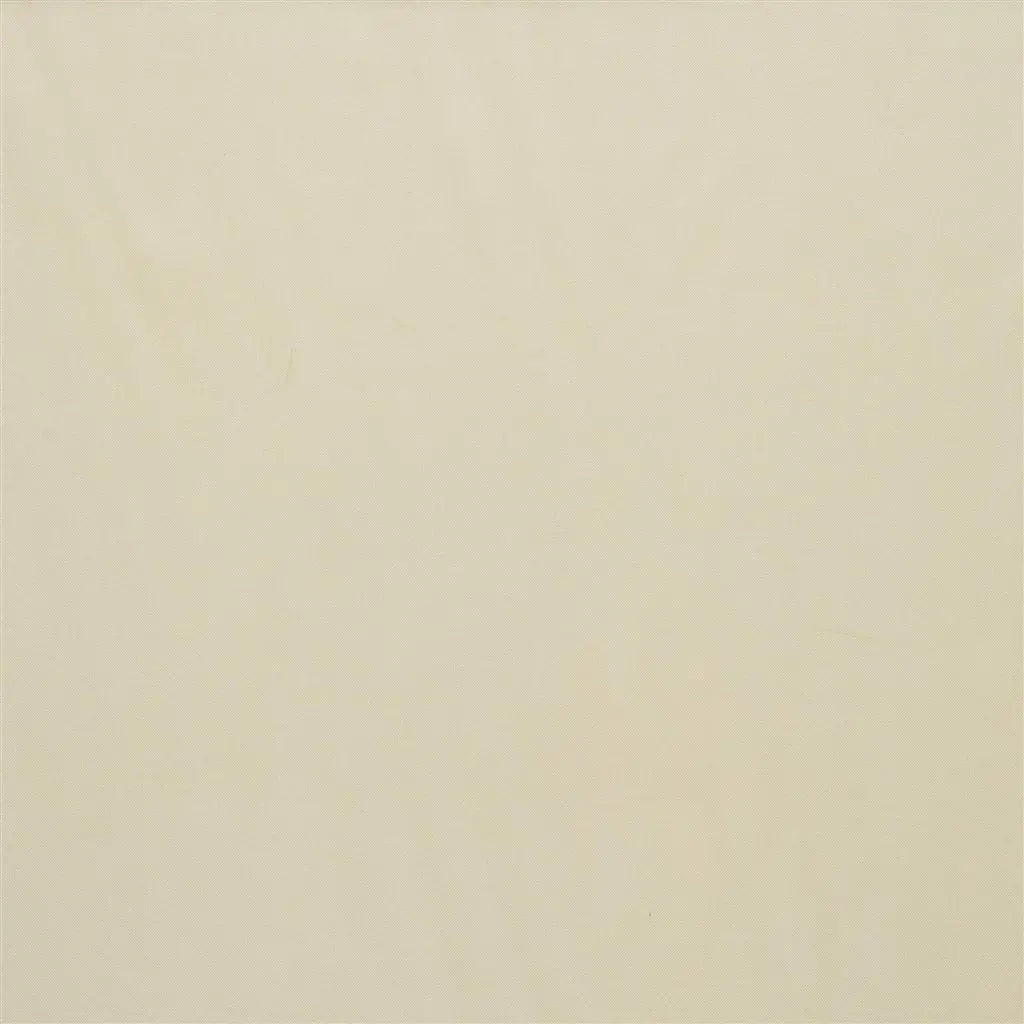 Carron Fabric by Designers Guild in Seagrass