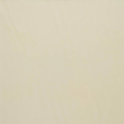 Carron Fabric by Designers Guild in Seagrass
