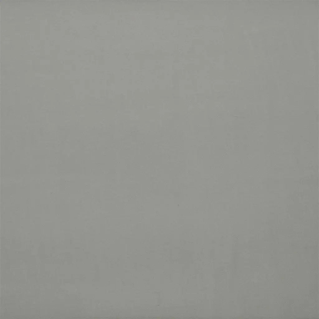 Carron Fabric by Designers Guild in Graphite
