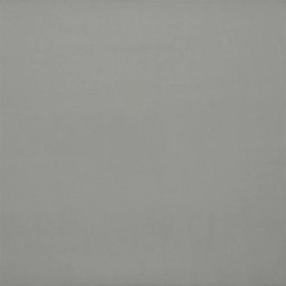Carron Fabric by Designers Guild in Graphite