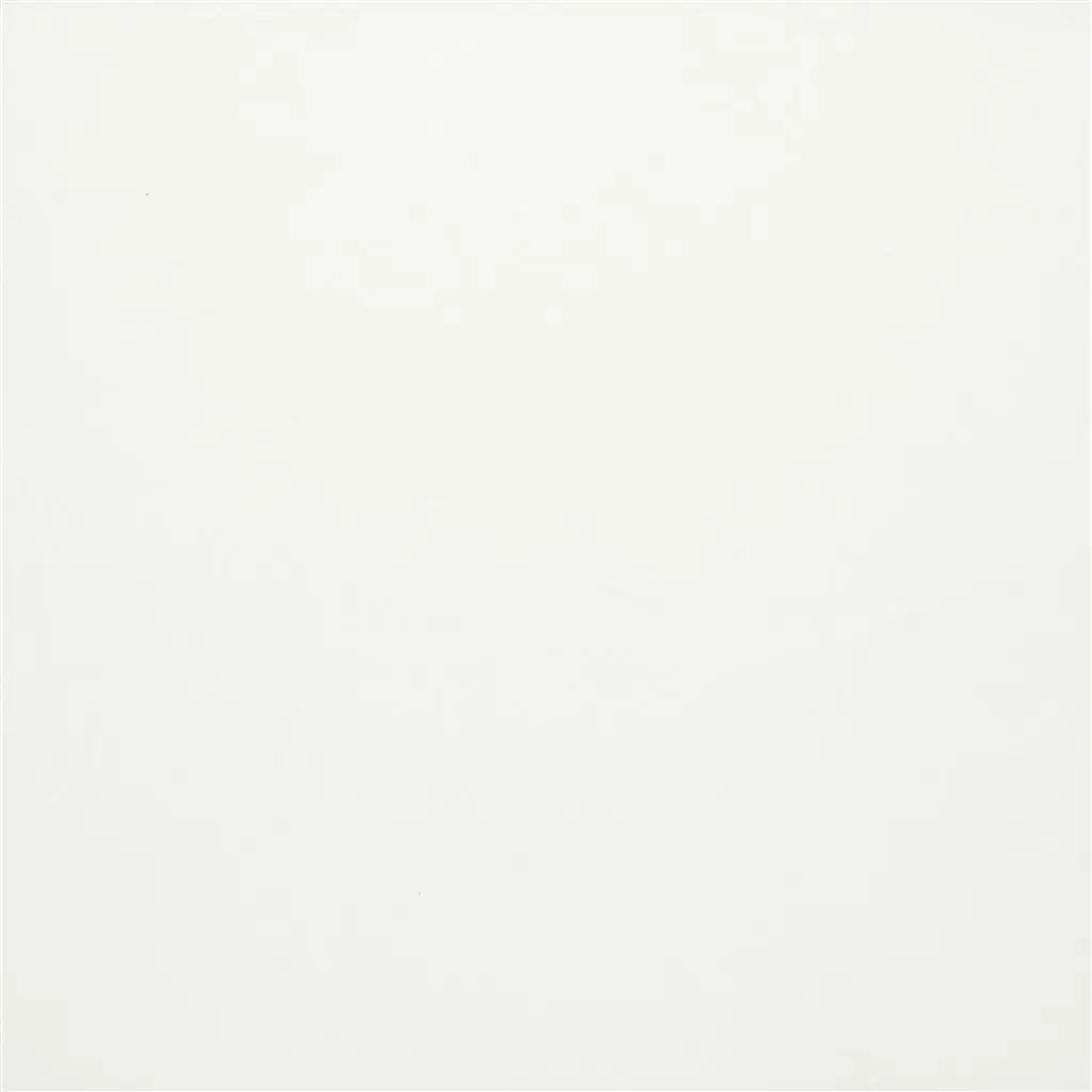 Carron Fabric by Designers Guild in Platinum