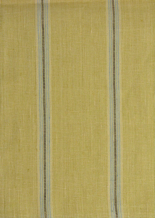 Wyeth Stripe Fabric by Rose Cumming in Yellow/Blue