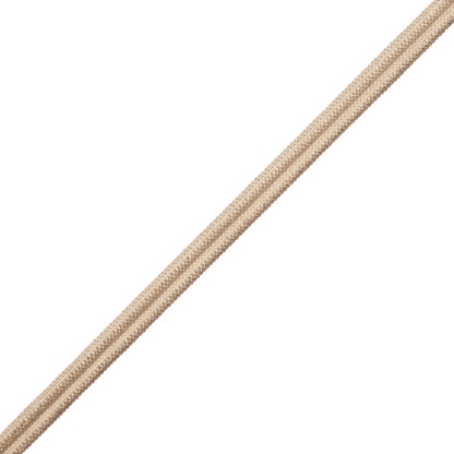 3/8" French Double Welting Trim by Samuel & Sons in Pale Grey (060), GB-26532-060, swatch