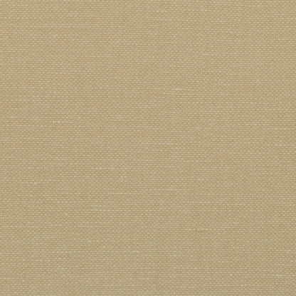 TRH2506 Fabric