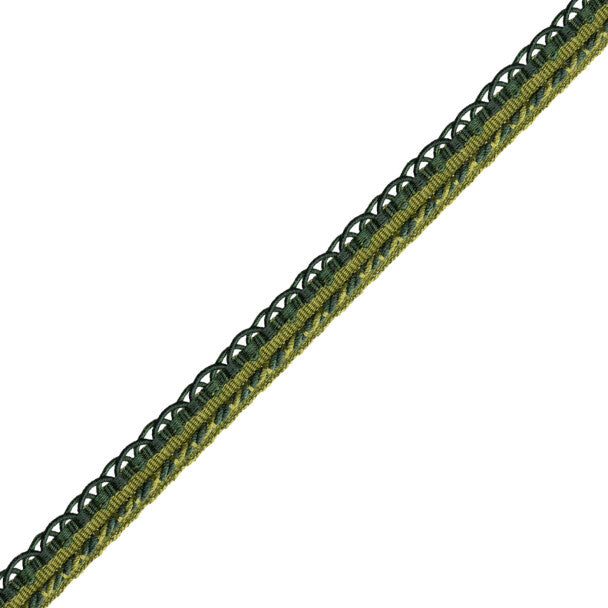 1/2" Annecy Gimp Trim by Samuel & Sons in Hemlock, GB-30702-271, roll