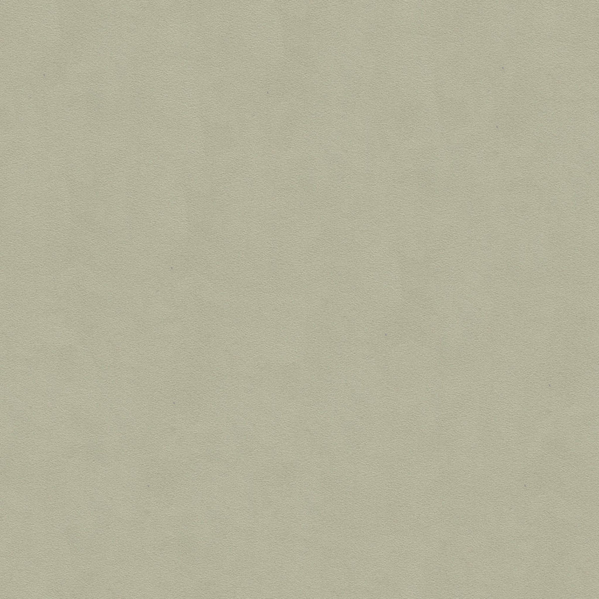 Ultimate - Ash Grey