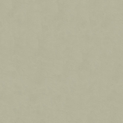 Ultimate - Ash Grey