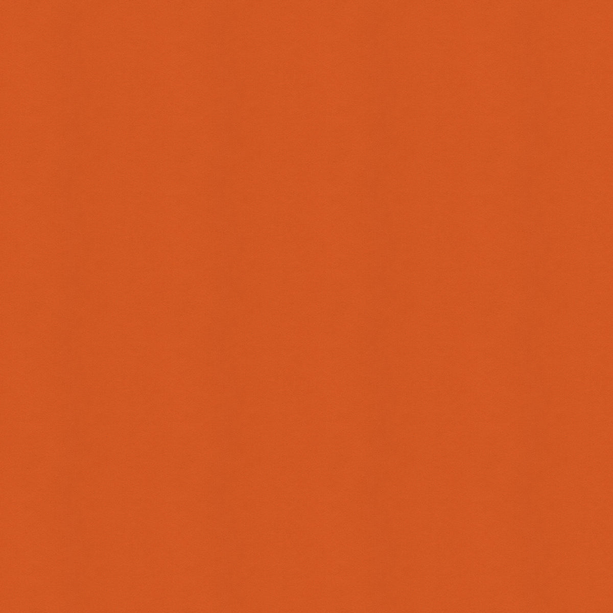 Ultimate - Carrot