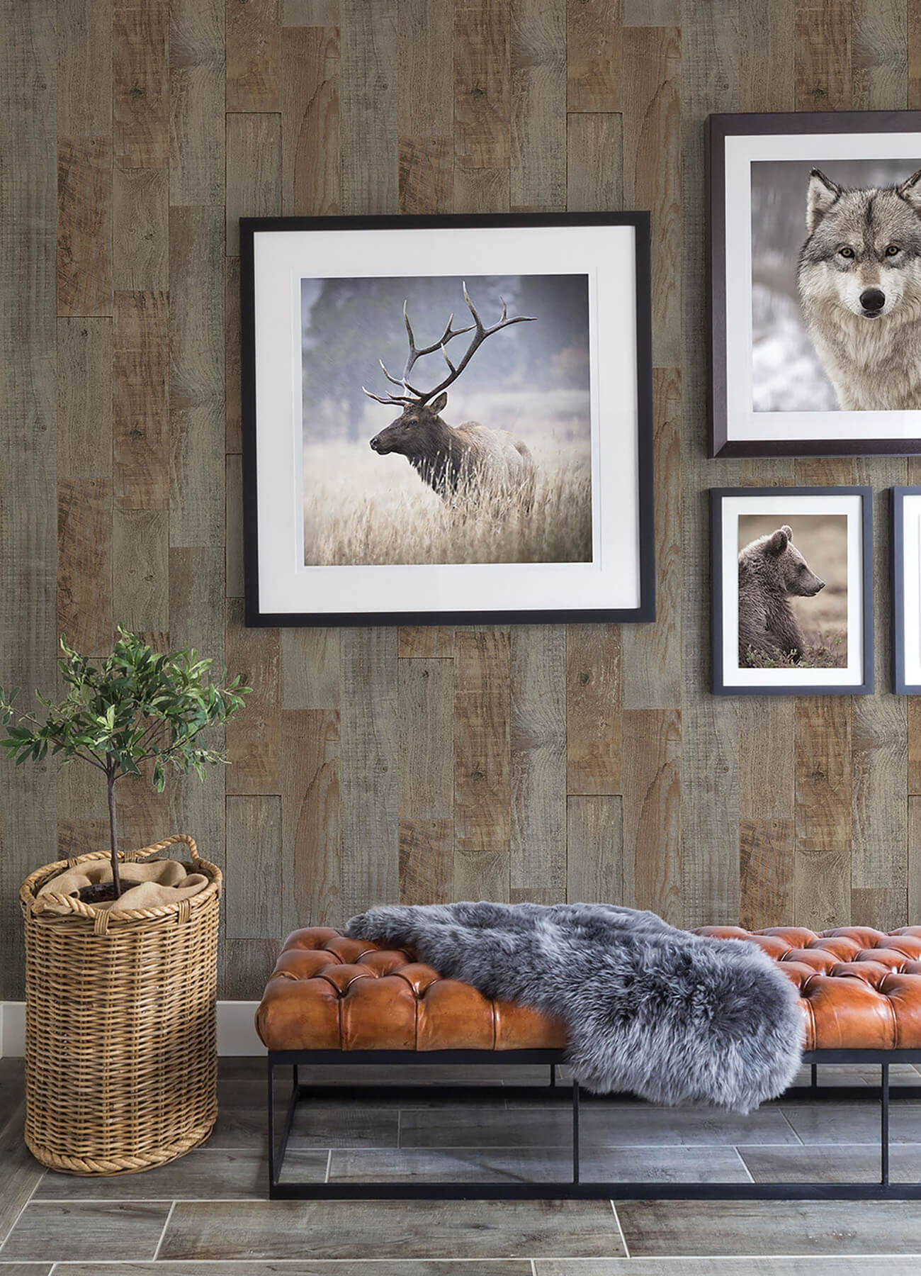 Thoreau Chebacco Wood Planks Wallpaper