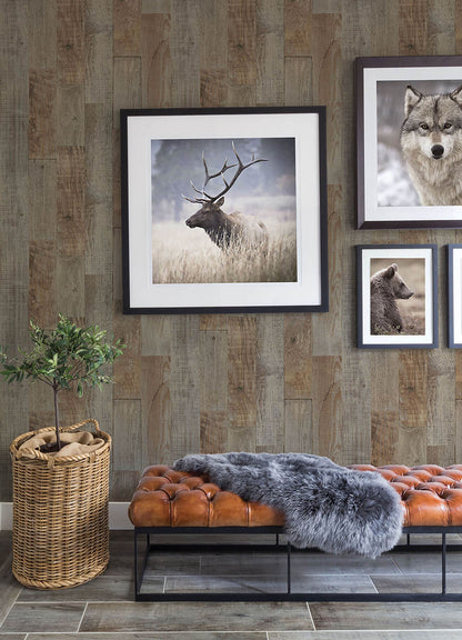 Thoreau Chebacco Wood Planks Wallpaper