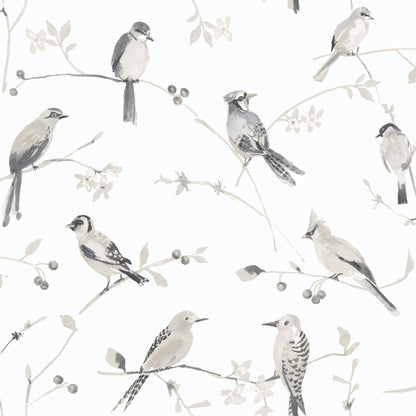 Thoreau Birdsong Wallpaper