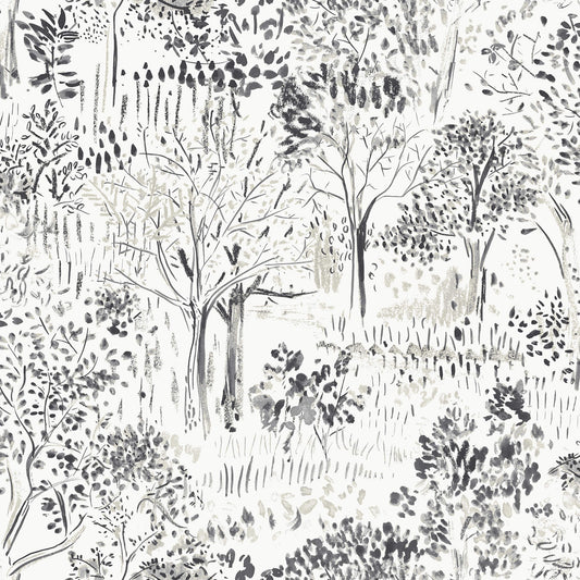 Thoreau Walden Forest Wallpaper